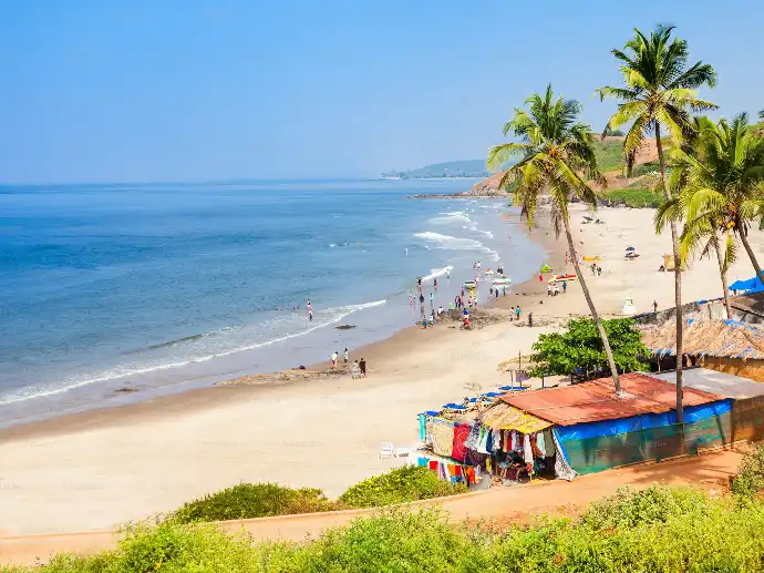 Aerial view of Goa beach with palm trees and turquoise sea - Mountain Junkey