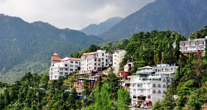 "Scenic view of Summer Hill in Shimla with pine trees and clear skies"